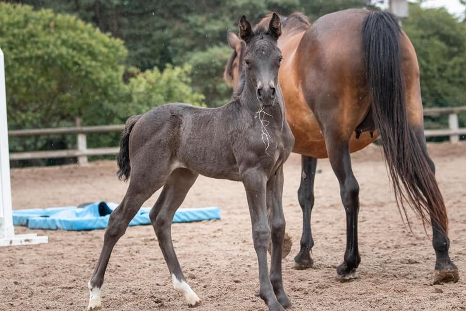 blockValue.789f963d-e200-4b7b-942e-2e73f35333af.imageCol.2.img_alt