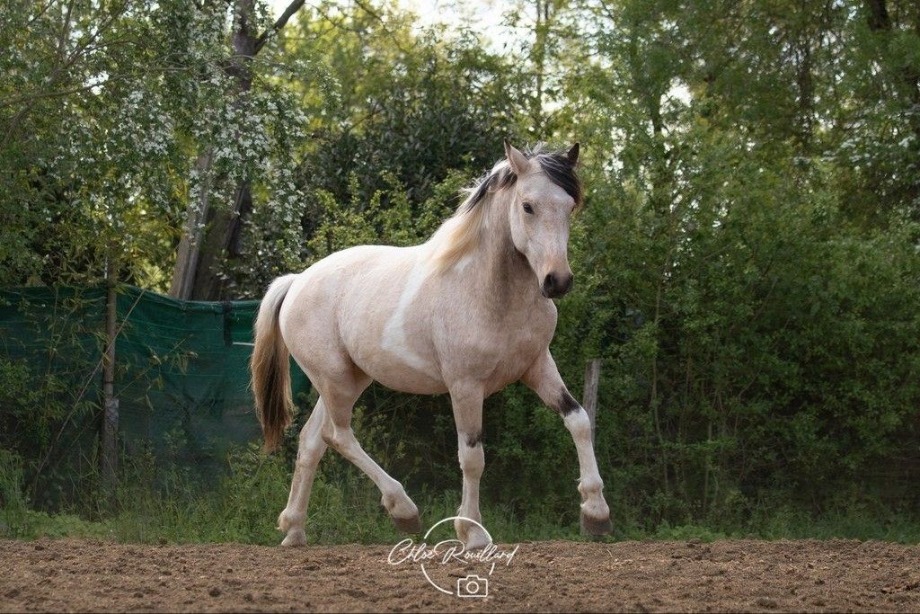 blockValue.279c8836-97aa-459e-b93c-04cba8141e1e.img_alt