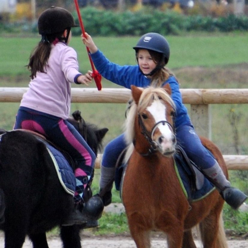 Image de activité poney pour cavaliers de 7 à 12 ans débutants