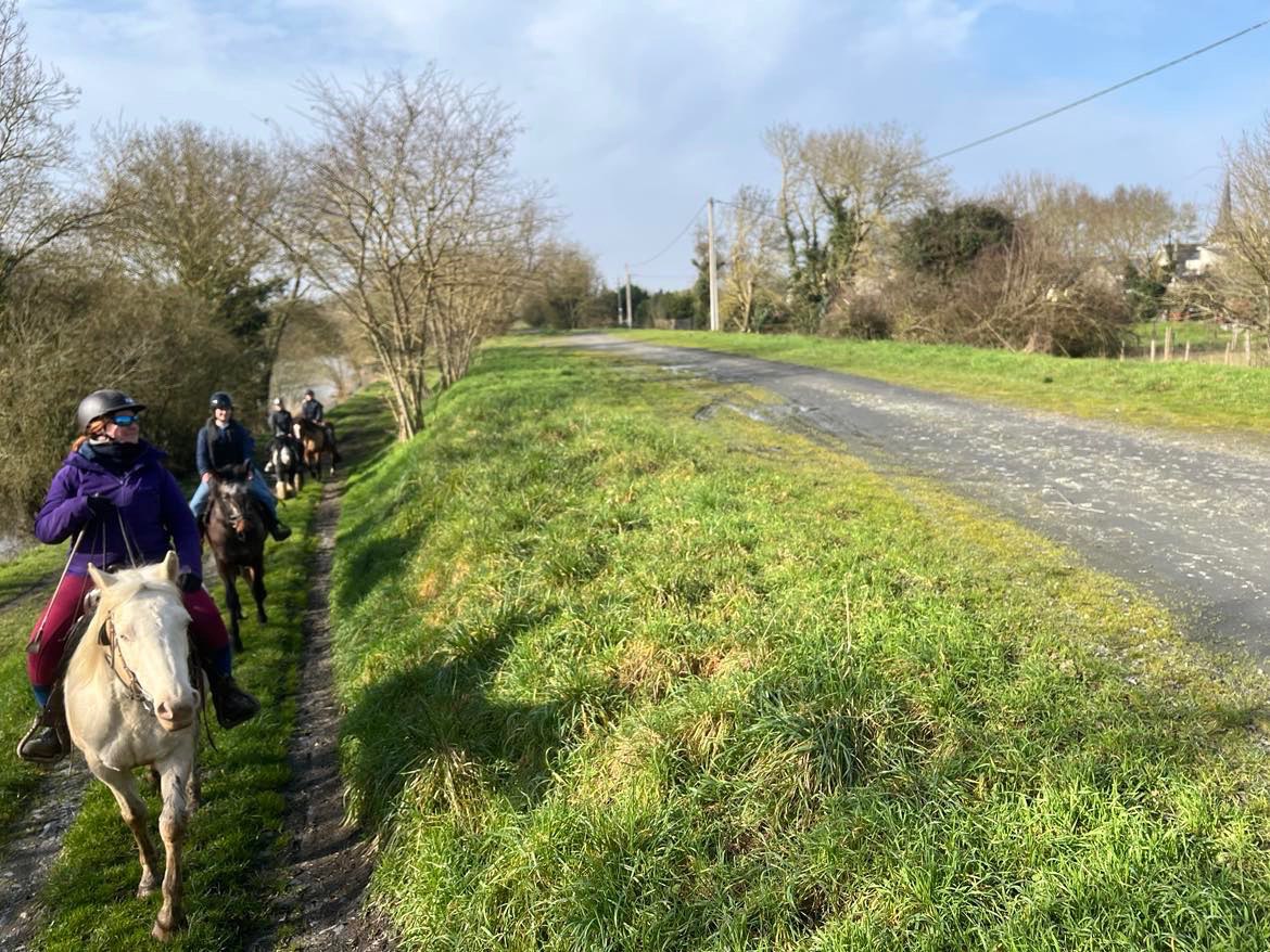 Image de promenade de 2h pour cavalier à l'aise aux 3 allures