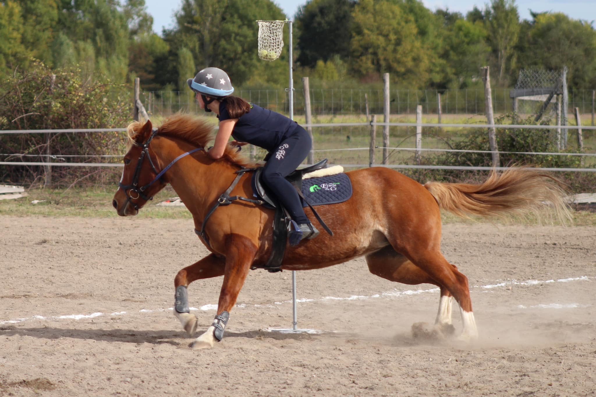 Image de Stage tous niveaux à partir de 6 ans et adultes 