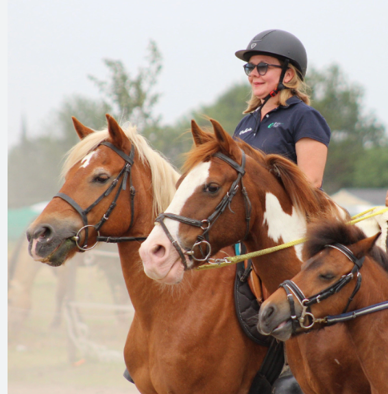 Image de Reprise de l'équitation ou monte occasionnelle pour adultes galop 3 à 7
