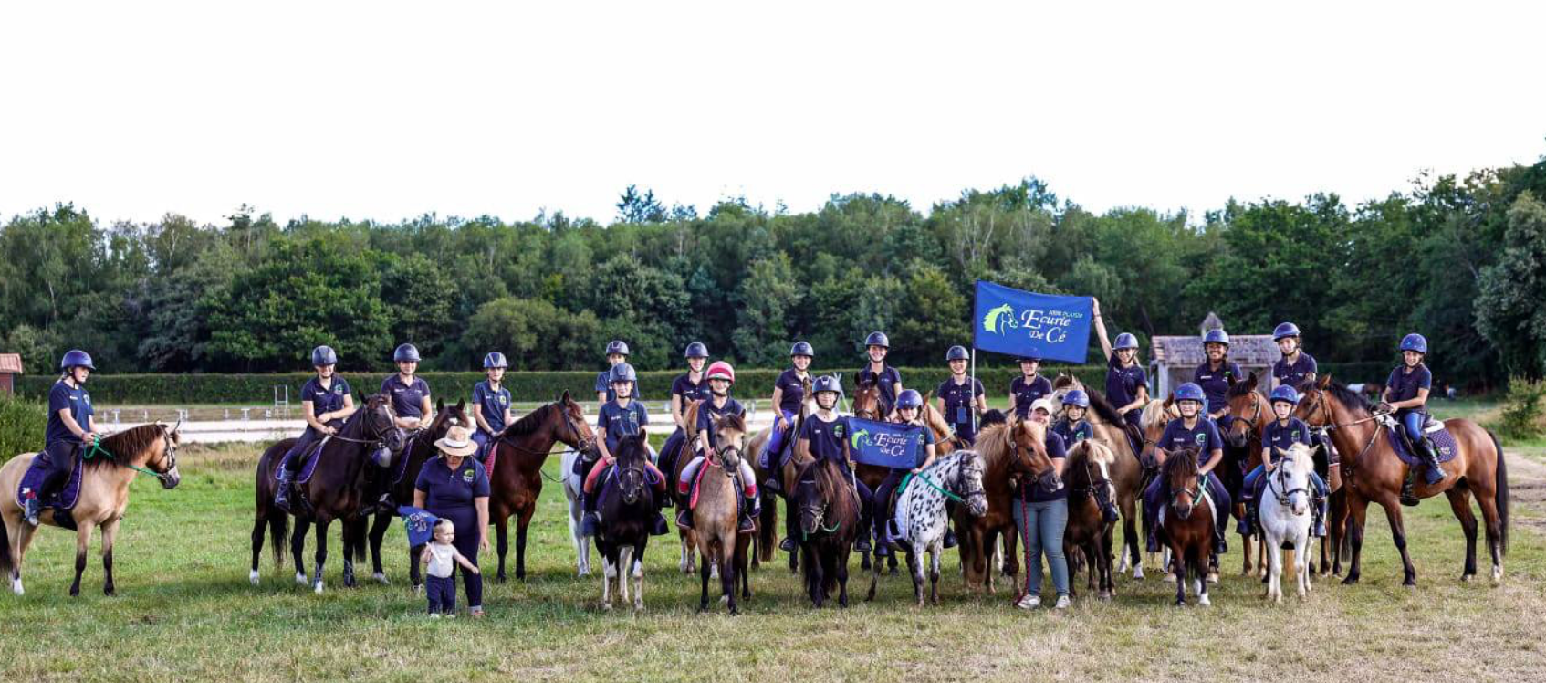 Image de STAGE DU DÉBUTANT AU GALOP 5 pour enfants de plus de 6 ans et adultes répartis par groupes de niveau et d'âge
