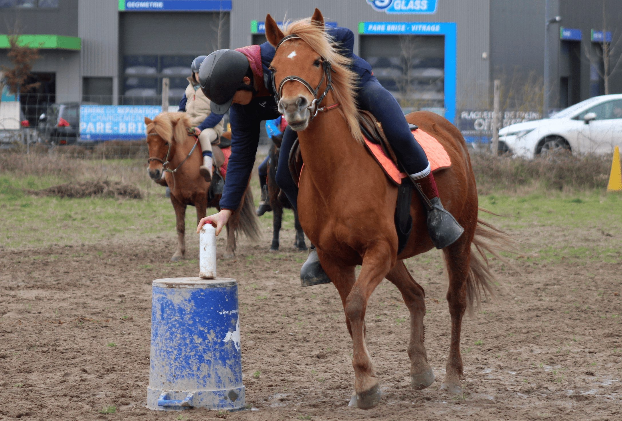 Image de Stage de Pony-games à partir du galop 2