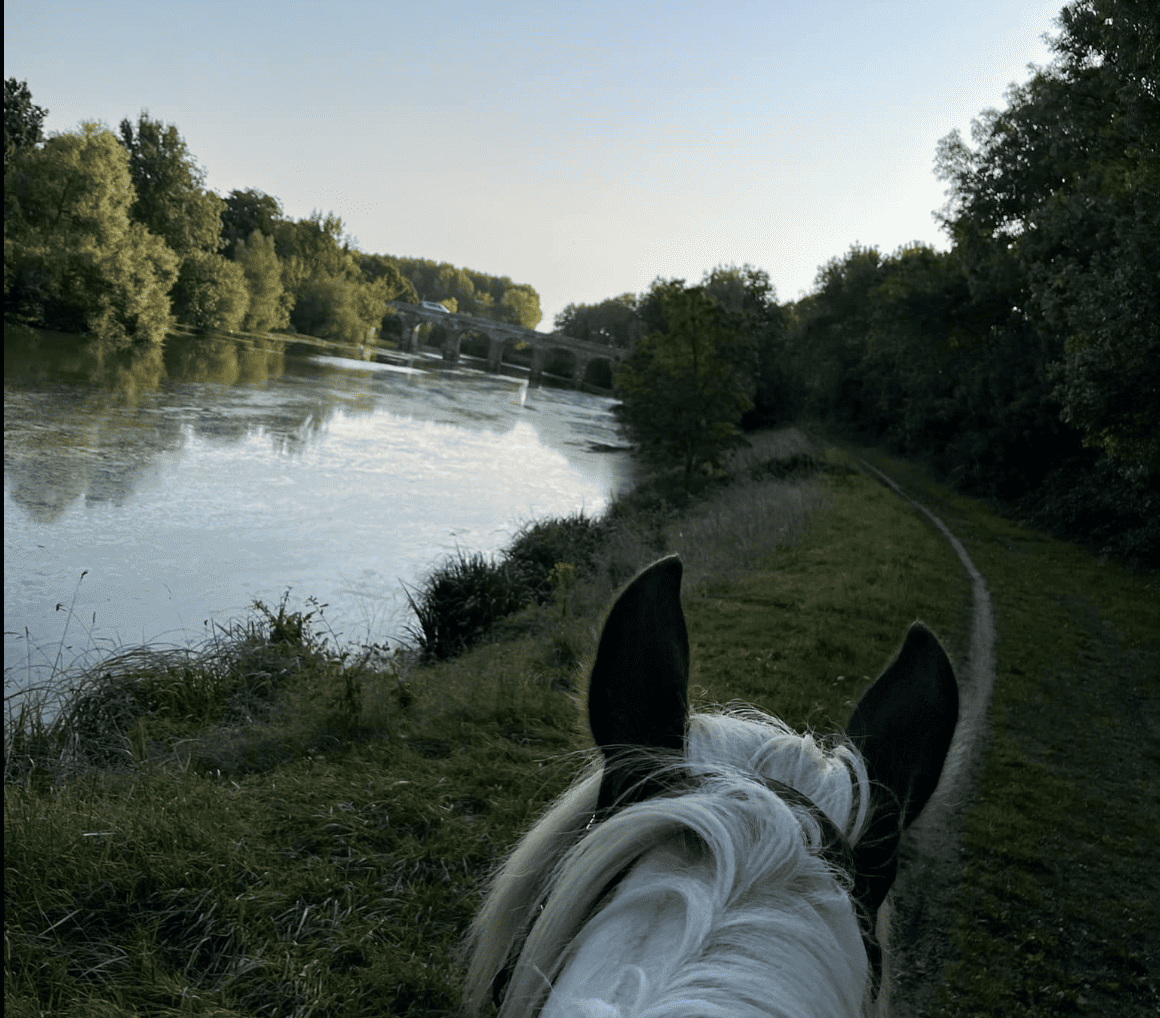 Image de Balade à cheval de 2h (18h15 - 20h15) au bord de l'authion pour cavaliers à l'aise aux trois allures 