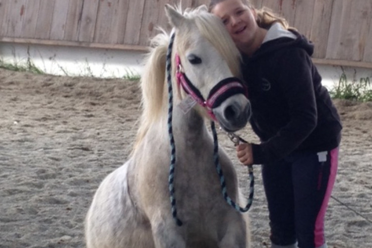 Image de stage éthologie monté ( Savoir 3)