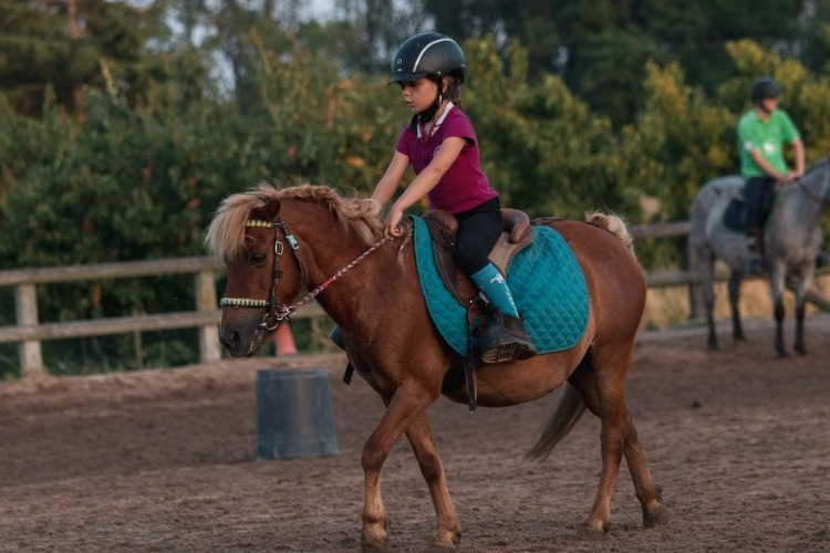 Image de Dernières permanences pour les inscriptions de l'année 2022/2023