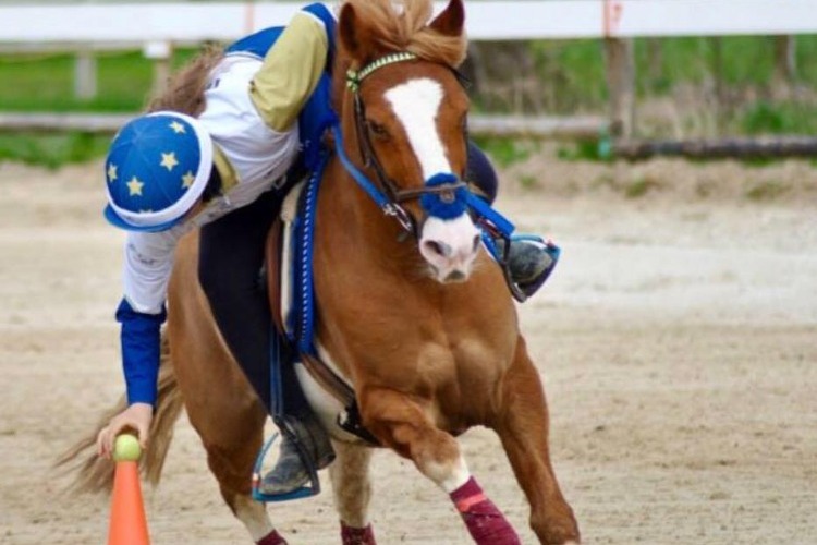 Image de Stage Pony games